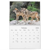 2021 Wolves 2 Wildlife Photography Calendar カレンダー (2月 2026)