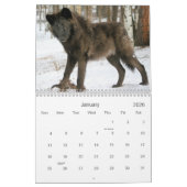 2021 Wolves 2 Wildlife Photography Calendar カレンダー (1月 2026)