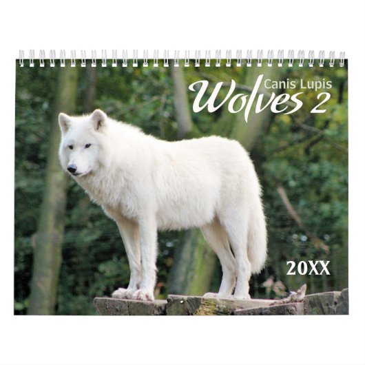 2021 Wolves 2 Wildlife Photography Calendar カレンダー (カバー)