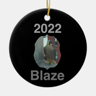2022セラミックサークルオーナメントブレーズ セラミックオーナメント