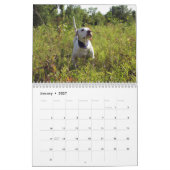 2022夢の分野の高地と鳥獣のカレンダー カレンダー (1月 2027)