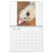 2022年シルケン・ウィンドハウンズ(ドレッズアップ/間抜け)カレンダー カレンダー (3月 2026)