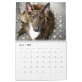 2022年シルケン・ウィンドハウンズ（子犬）暦 カレンダー (3月 2027)