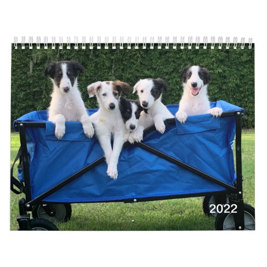 2022年シルケン・ウィンドハウンズ（子犬）暦 カレンダー (カバー)