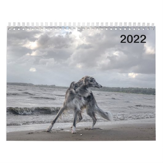 2022年シルケン・ウィンドハウンド（複数の犬と戦闘中） カレンダー (カバー)