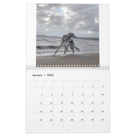 2022年シルケン・ウィンドハウンド(複数の犬と戦闘中) カレンダー (1月 2026)
