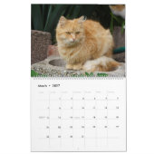 2022年予定表が好きな人にとって美しい猫たち カレンダー (3月 2027)