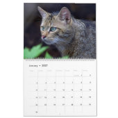 2022年予定表が好きな人にとって美しい猫たち カレンダー (1月 2027)