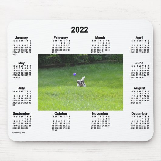 2022年遊Ball's Dog Photoカレンダー マウスパッド (正面)