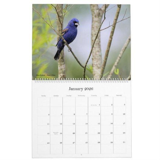 2022年野鳥観察(サウスカロライナ暦) カレンダー (1月 2026)