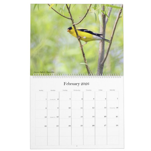 2022年野鳥観察(サウスカロライナ暦) カレンダー (2月 2026)