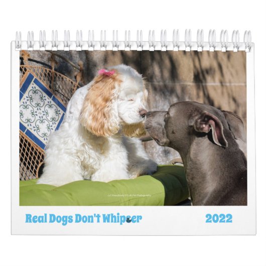 2022犬のカレンダー可愛さで日を明るくする カレンダー (カバー)
