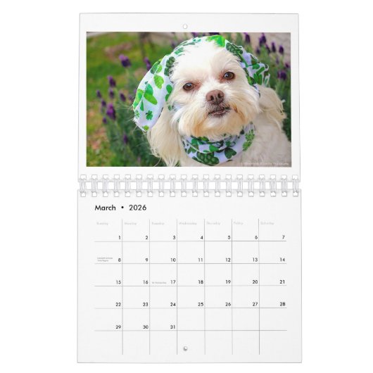 2022犬のカレンダー可愛さで日を明るくする カレンダー (3月 2026)