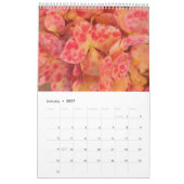 2022美しい自然 カレンダー (1月 2027)