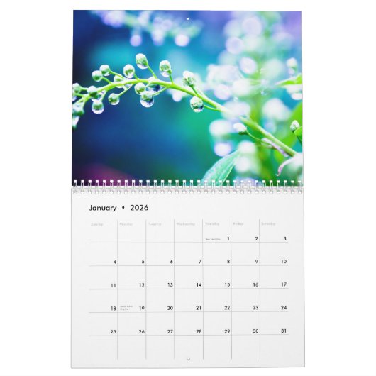 2022自然 カレンダー (1月 2026)