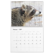 2022野生の青のアライグマ救助のアライグマ カレンダー (2月 2027)