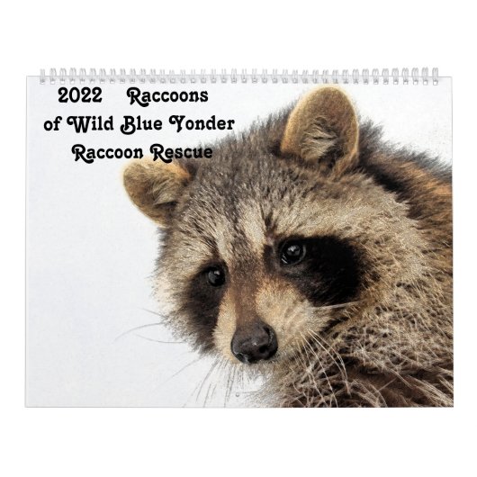 2022野生の青のアライグマ救助のアライグマ カレンダー (カバー)