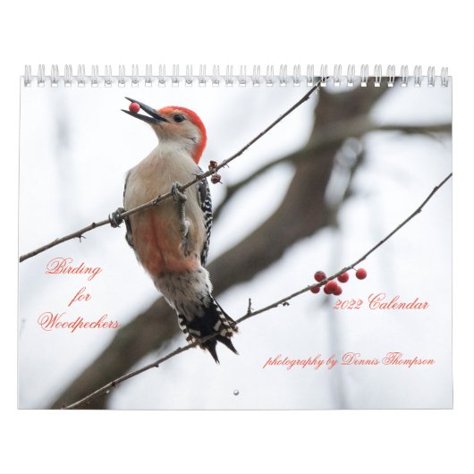2022野鳥観察(Woodpeckers Calendar) カレンダー (カバー)