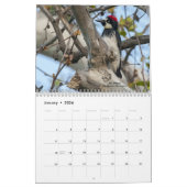 2022野鳥観察(Woodpeckers Calendar) カレンダー (1月 2026)