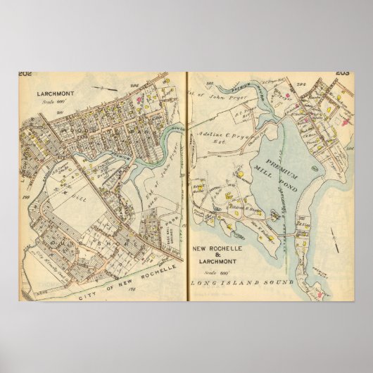 202203 Larchmont、ニューロシェル ポスター (正面)