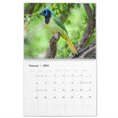 2022 Birds of North America Calendar カレンダー (2月 2026)