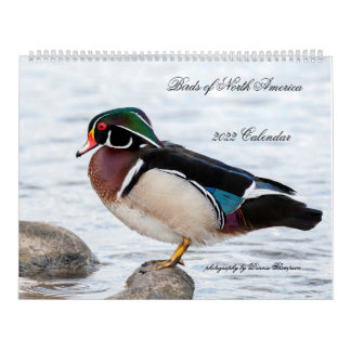 2022 Birds of North America Calendar カレンダー