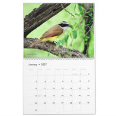 2022 Birds of North America Calendar カレンダー (1月 2027)