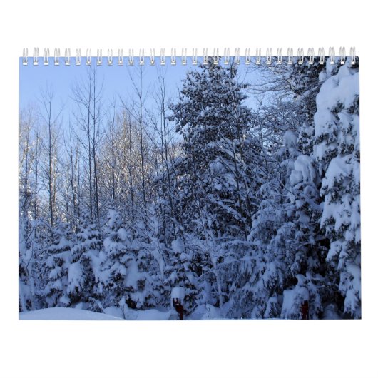 2022 Calendar Nature in Winter  カレンダー (裏面)