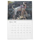 2022 PointerRescue Orgのハートポインタ カレンダー (2月 2026)