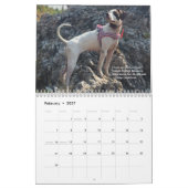 2022 PointerRescue Orgのハートポインタ カレンダー (2月 2027)