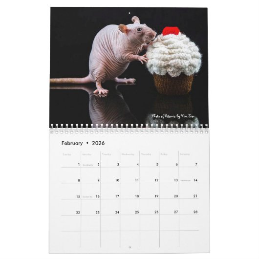 2022 Rats of the Rodent Reader Calendar カレンダー (2月 2026)