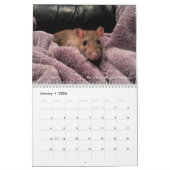 2022 Rats of the Rodent Reader Calendar  カレンダー (1月 2026)