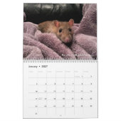 2022 Rats of the Rodent Reader Calendar  カレンダー (1月 2027)