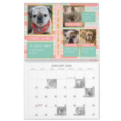 2022 SNORTカレンダー カレンダー (1月 2026)