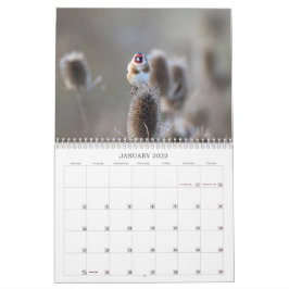 2022 UKワイルドライフカレンダー カレンダー