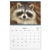 2022  Wild Blue Yonder Raccoon Rescue   カレンダー (3月 2027)