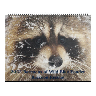 2022  Wild Blue Yonder Raccoon Rescue   カレンダー