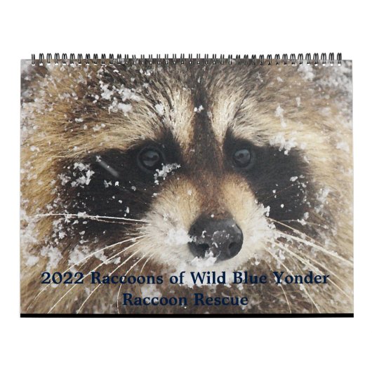 2022  Wild Blue Yonder Raccoon Rescue   カレンダー (カバー)