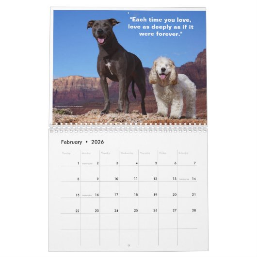 2023かわいい&かわいい犬のカレンダー カレンダー (2月 2026)