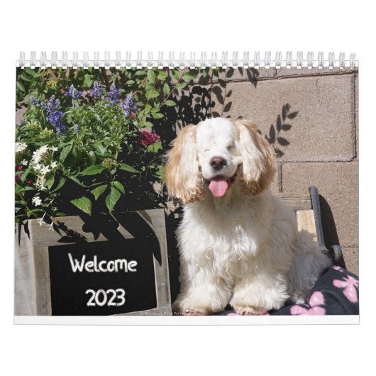2023かわいい&かわいい犬のカレンダー カレンダー (カバー)