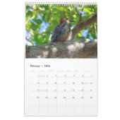 2023サニベル島カレンダー カレンダー (2月 2026)