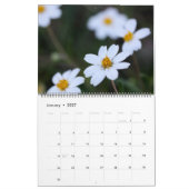 2023テキサス州野草花 カレンダー (1月 2027)