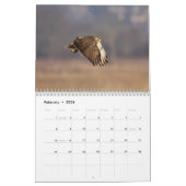 2023ハドソン渓谷の赤尾タカ カレンダー (2月 2026)