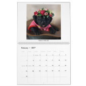 2023マスタドール子犬カレンダー カレンダー (2月 2027)