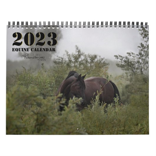 2023写真ウマ科のカレンダーII カレンダー (カバー)