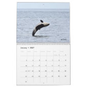 2023南のレジデント・キラー・ホエールカレンダー カレンダー (1月 2027)