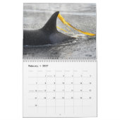 2023南のレジデント・キラー・ホエールカレンダー カレンダー (2月 2027)