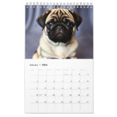 2023子犬カレンダー カレンダー (1月 2026)