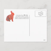 2023年うさぎ シーズンポストカード (裏面)