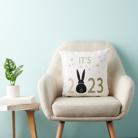 2023年のウサギだ クッション (椅子)